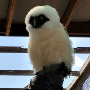 Meet your Posher, Cindy